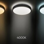 Temperatura de Color y Calidad de Luz